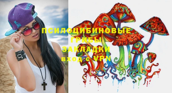 МДПВ Алзамай