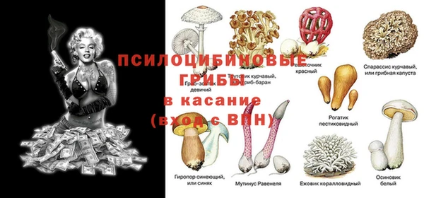 МДПВ Алзамай